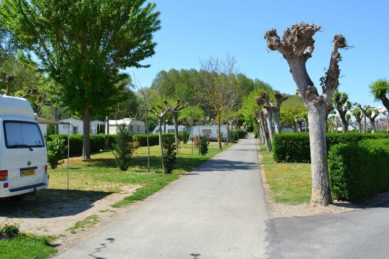 Camping Haro y vino, gran combinación.