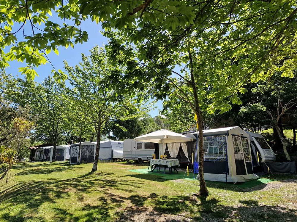Calles internas con arbolado y caravanas en parcelas de césped del Camping El Helguero (Ruiloba).